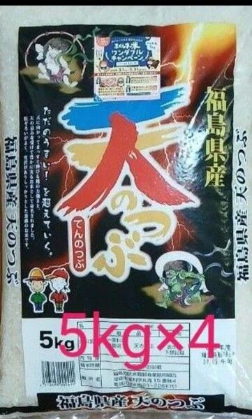 福島県産 天のつぶ 白米 5kg×4 令和6年産 令和7年5月中旬精米