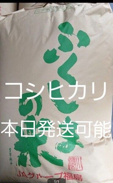 福島県産 コシヒカリ 玄米 30kg 令和6年産 農家保有米 冷蔵保存