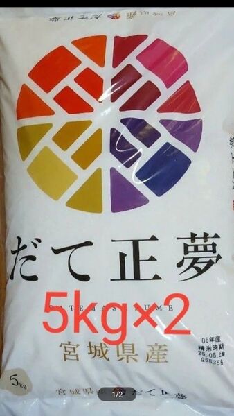 だて政夢 白米 宮城県産 10kg 5kg×2袋 令和6年産 令和7年5月下旬精米 全国送料無料