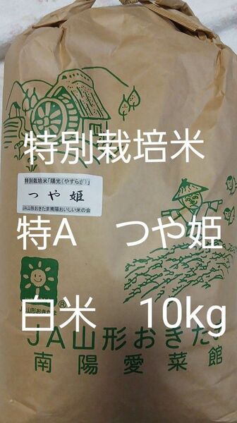特A 山形県置賜郡産 特別栽培米 つや姫 白米 10kg 令和6年産 令和7年4月下旬精米