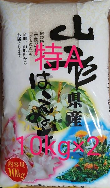特A 山形県産 はえぬき 白米 令和6年産 10kg×2 令和7年5月20日精米