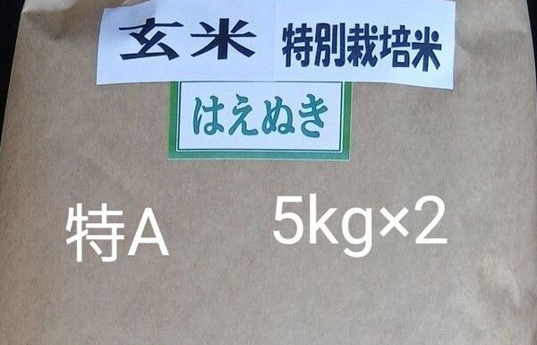 特A 特別栽培米 はえぬき 玄米 山形県令和6年産