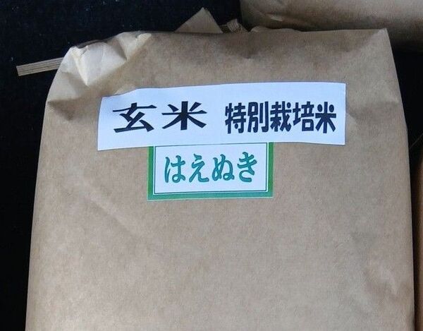 特A 特別栽培米 はえぬき 玄米 山形県 令和6年産 冷蔵保管 全国送料無料 農薬化学肥料50%以上減