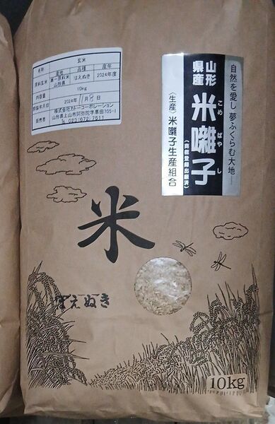 特A 山形県産 はえぬき 玄米 令和6年産 10kg 全国送料無料