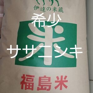 伊達市産 ササニシキ 一等米 玄米 30kg 令和6年産 冷蔵保存