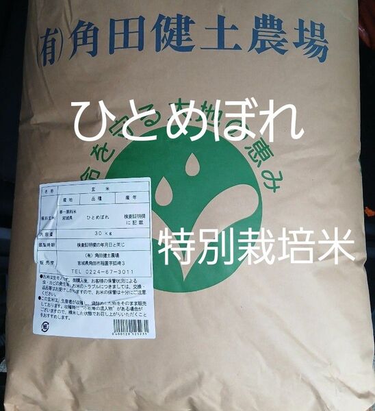 宮城県産 特別栽培米 ひとめぼれ 玄米 30kg 令和6年産