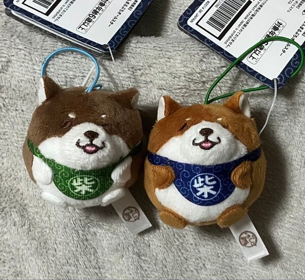 忠犬もちしば まんまる ぷち オールスター ぬいぐるみ マスコット 2種セット あんこ おかか 柴犬 イヌ