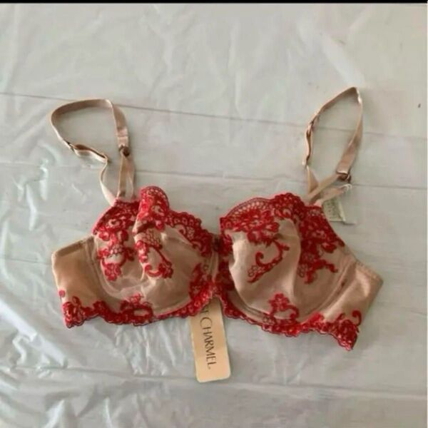 新品 LISE CHARMEL SWAROVSKI ブラジャー FR85D リズシャルメル