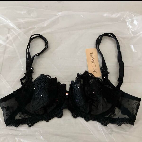 新品 LISE CHARMEL ブラジャー FR85 D リズシャルメル