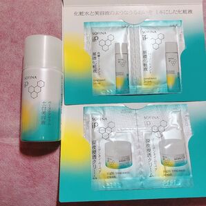 sofina ip サンプル