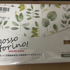 ゴッソトリノ 29包 トゥースウォッシュ 薬用液体歯みがき ハーブミント マウスウォッシ 個包装 GOSSOTORINO