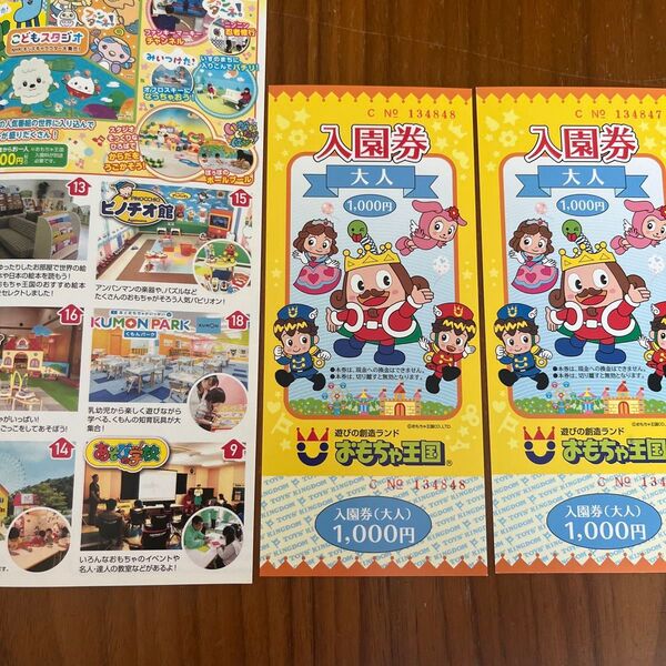 岡山おもちゃ王国 入園券 大人2枚セット