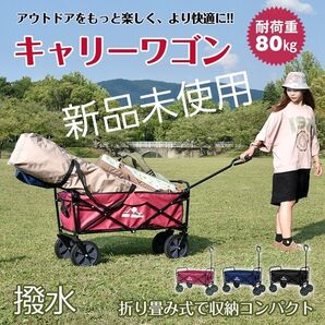大容量キャリーワゴン レッド