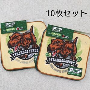 新品 プチタオル 10枚 アニア 恐竜 ダイナソー ライオン 男の子 男児 ハンカチ ミニタオル 保育園 幼稚園 小学校