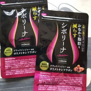シボリーナ nissen ブラックジンジャー 2袋