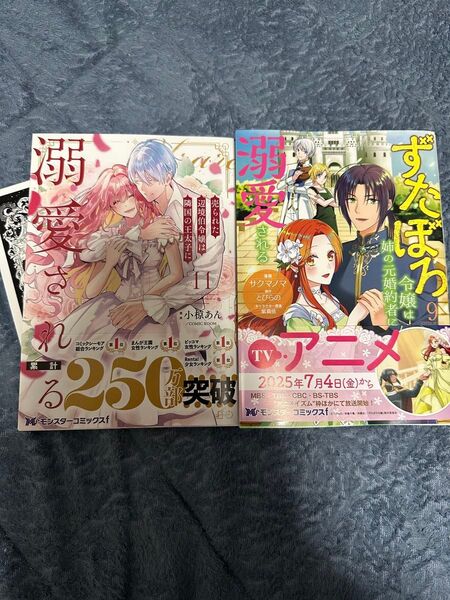 ずたぼろ令嬢は姉の元婚約者に溺愛される 9 (モンスターコミックスf) サクマノマ/漫画 とびらの/原作 紫真依/キャラクター原案