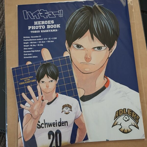 ハイキュー展 HEROES PHOTO BOOK ヒーローズ フォトブック 箔押しポストカード 影山飛雄