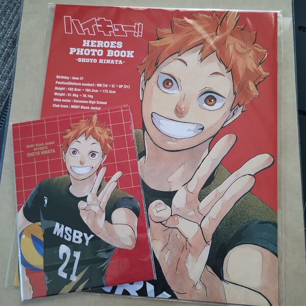 ハイキュー展 HEROES PHOTO BOOK ヒーローズ フォトブック 箔押しポストカード 日向翔陽