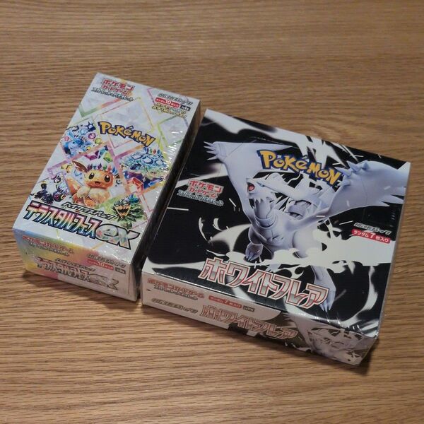 新品未開封 シュリンク付き テラスタルフェスex ホワイトフレア 各1BOX ポケモンカードゲーム