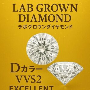 【新品未使用】ラボグロウンダイヤモンド0.73ct DカラーVVS2 鑑定書付き