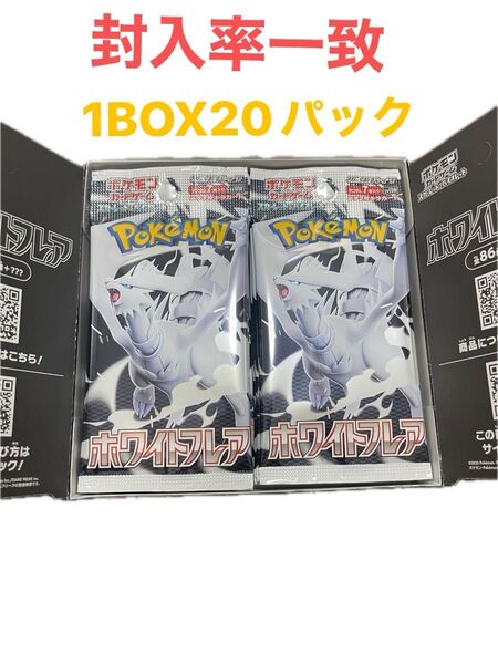 封入率一致 ポケモンカード ホワイトフレア 1BOX 20パック