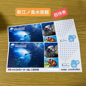 新江ノ島水族館 招待券 2枚