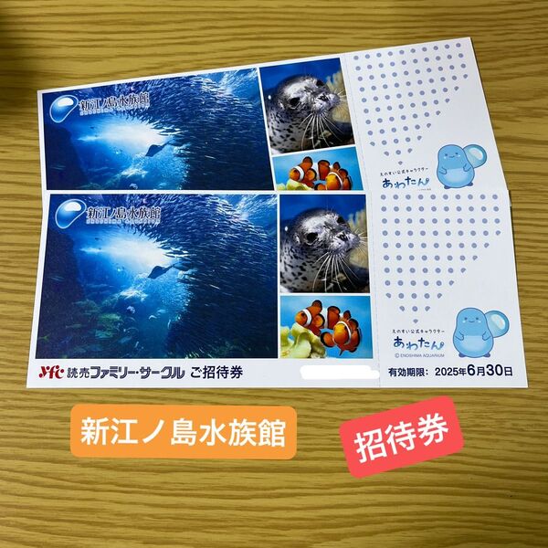 新江ノ島水族館 招待券 2枚