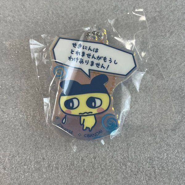 たまごっちのプチプチおみせっち グッズコレクション アクリルチャーム(デザインB)まめっち ガチャ カプセルトイ