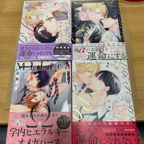 淫らなΩは恋をしない 憐れなβは恋を知らない 全3巻