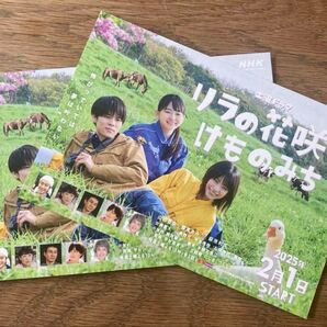 2枚セット!リラの花咲くけものみち ポストカード 土曜 ドラマ NHK はがき 萩原利久 山田杏奈 富真あみ 非売品 藤岡陽子