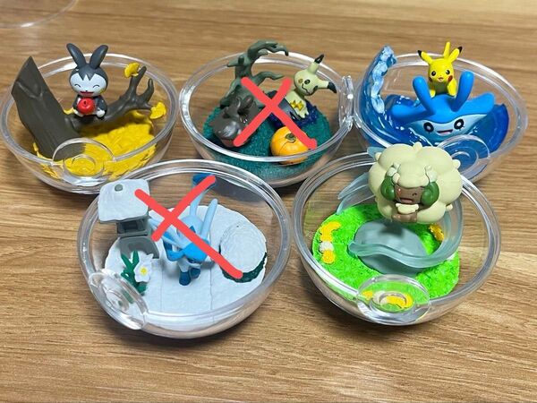 ポケモン テラリウムコレクション めぐる季節の中で