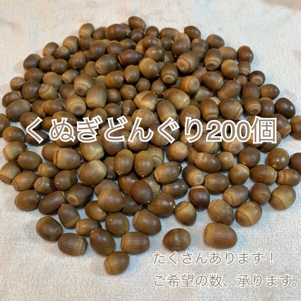 くぬぎどんぐり クヌギ リース、ハンドメイドやリメイクにも たくさんあります!