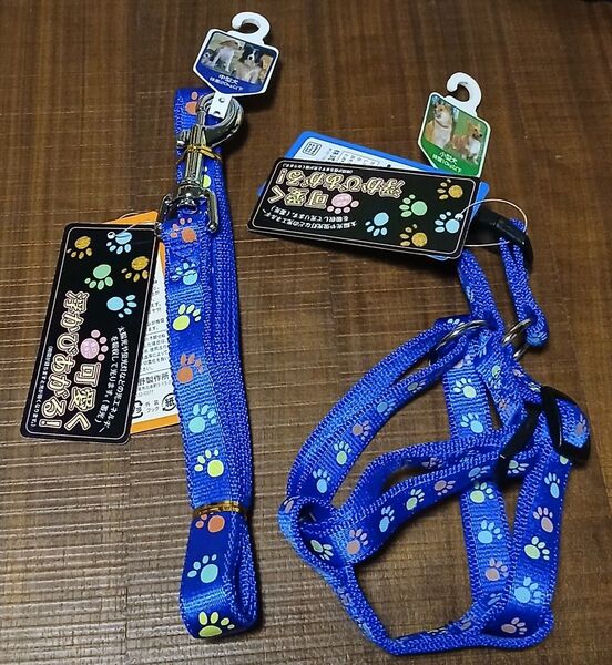 蓄光フットハーネス 蓄光フットリード 犬 小型犬 中型犬 お散歩 グッズ ハーネス リード セット 夜道対策 ブルー 青 可愛い