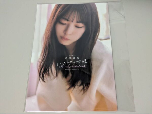 希少 岩本蓮加『いたずらな風』写真集 当選特典 アザーカットミニフォトブックRenka Iwamoto