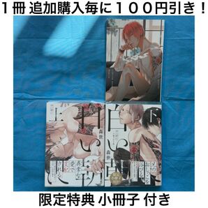 m11 白い朝に 森世 上巻 下巻 上下巻 2冊 セット まとめ売り 小冊子 BL ボーイズラブ コミック 漫画
