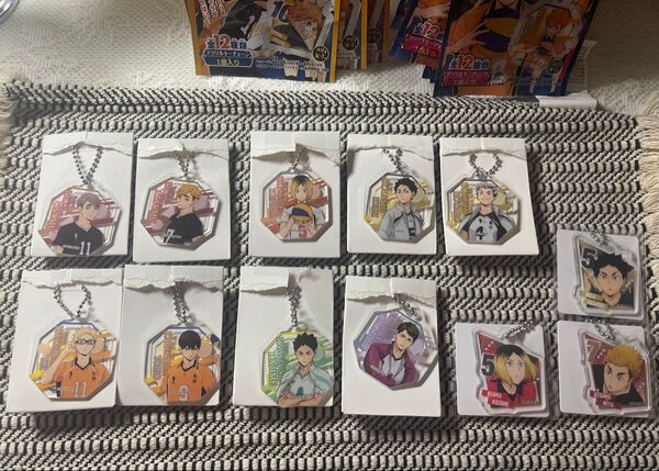 ハイキュー アクリルキーチェーン1、2 影山飛雄、月島蛍、孤爪研磨、宮侑、宮治、岩泉一、牛島若利、赤葦京治、木兎光太郎