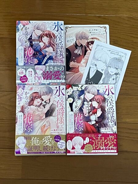 氷の侯爵様とかりそめの花嫁~愛のない王命婚なのに、なぜか溺愛されてます~ 1〜3 ※アニメイト特典付き
