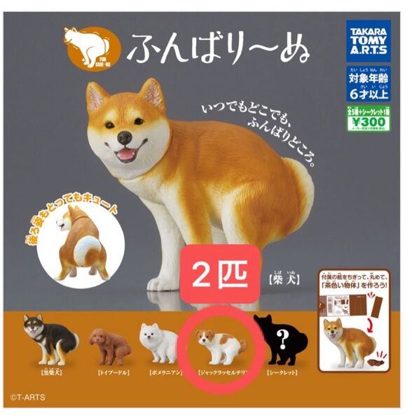 ふんばりーぬ【ジャックラッセルテリア】×2