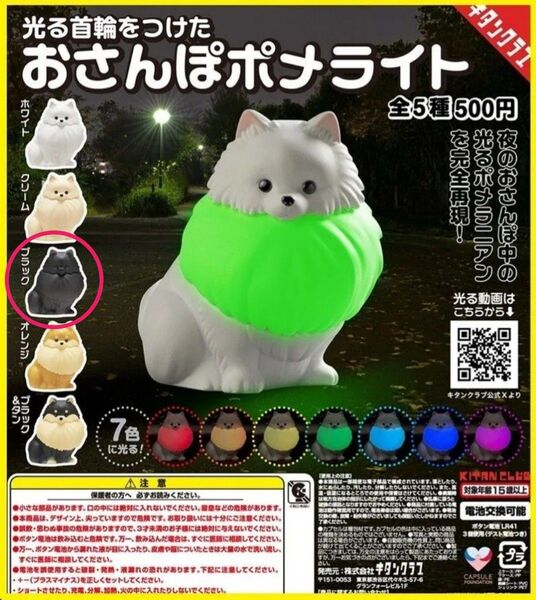 【新品】おさんぽポメライト ポメラニアン ガチャガチャ ガチャ ブラック フィギュア おさんぽポメ