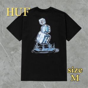 美品 HUF ハフ 半袖Tシャツ ダイス M ブラック サイコロ 20周年記念