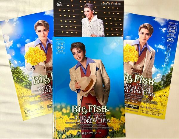 宝塚歌劇 星組 BIG FISH パンフレット 公演プログラム フライヤー チラシ Memories of 礼真琴 宝塚歌劇の殿堂
