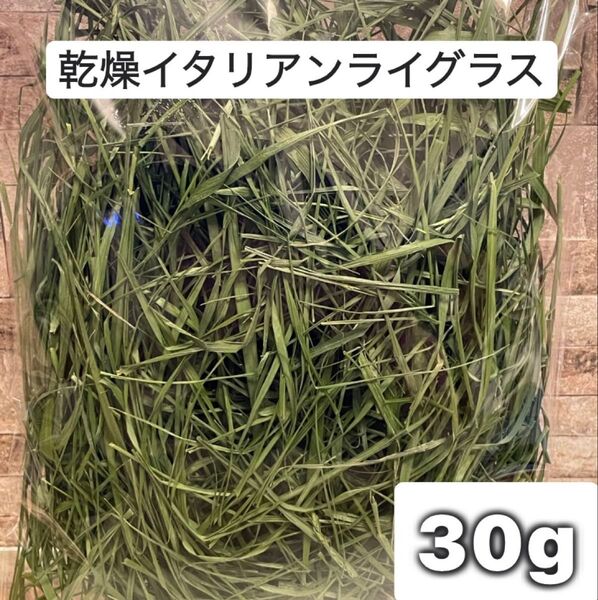2025年 埼玉県産 乾燥 イタリアンライグラス お試し 30g