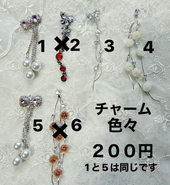 200円 チャーム ストラップ カスタムビーズ