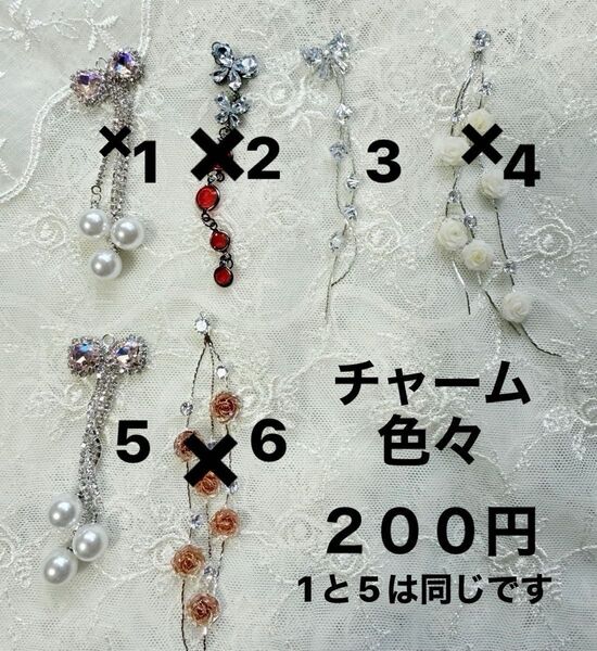 200円 チャーム ストラップ カスタムビーズ