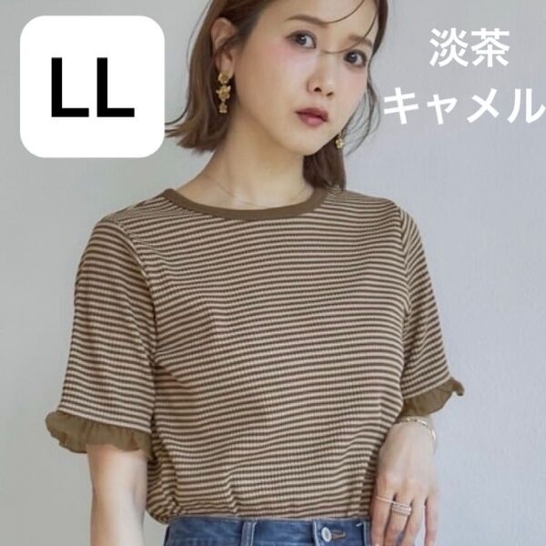 LLサイズ mysa closet 田中里奈 テレコ ボーダー シアー プルオーバー 淡茶 キャメル カットソー