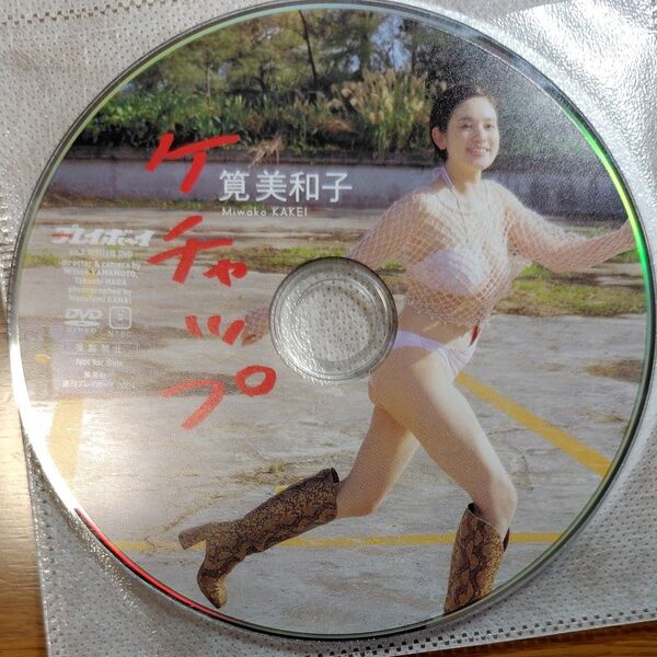 筧美和子ケチャップ 週刊プレイボーイ付録DVD