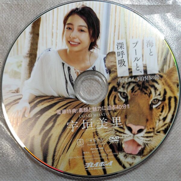 宇垣美里 DVD 海とプールと深呼吸 週刊プレイボーイ no.33-34 特別付録