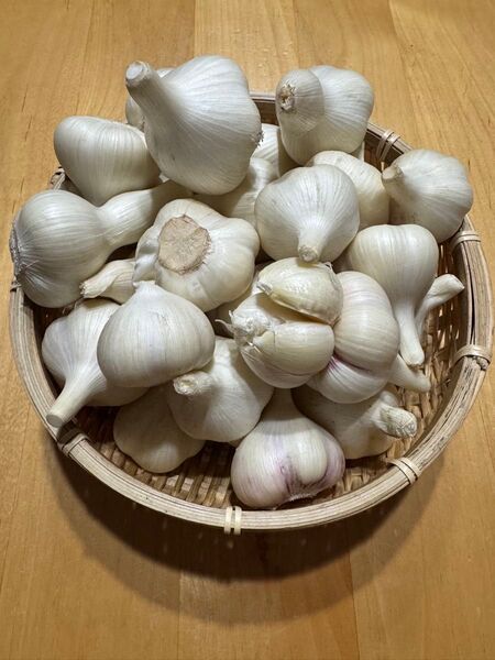青森県産 生にんにく 福地ホワイト六片 S 1kg