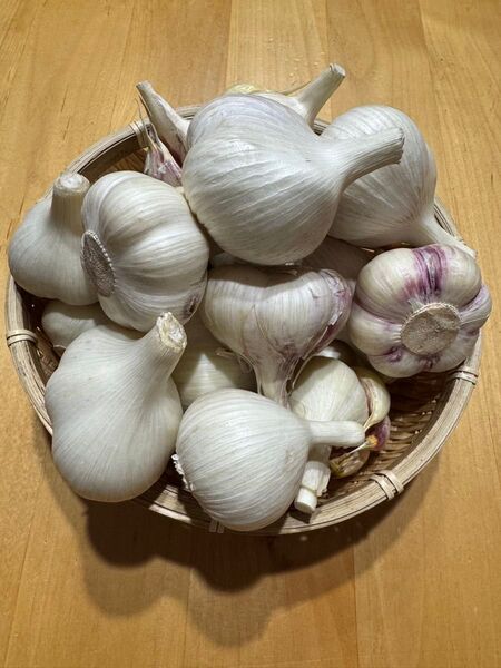 青森県産 生にんにく 福地ホワイト六片 サイズ色々 1kg