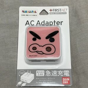 未使用 USB 2ポート ACアダプタ 充電 グルマンディーズ ぶりぶりざえもん